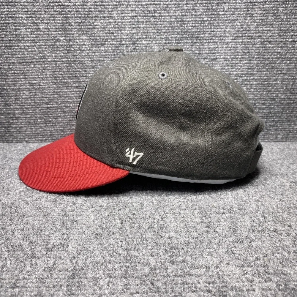Fort Wayne TinCaps Hat Cap Strap Back Youth Gray Red MILB Baseball Apple Mascot